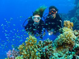 Dos buceadores nadando sobre un arrecife de coral en aguas cristalinas de color azul.