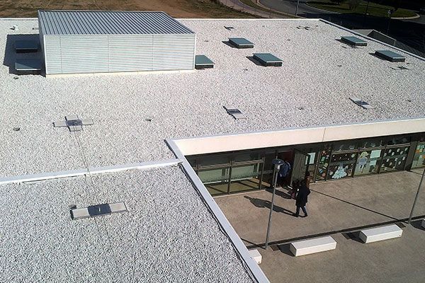 El techo de un edificio tiene muchas ventanas.