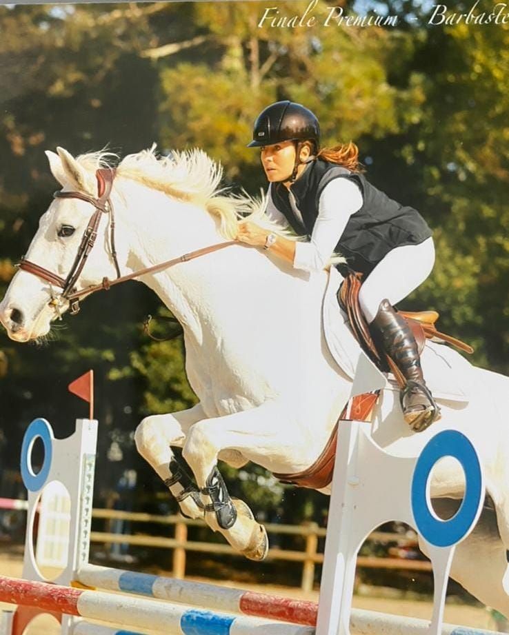 Saut d'obstacles à cheval