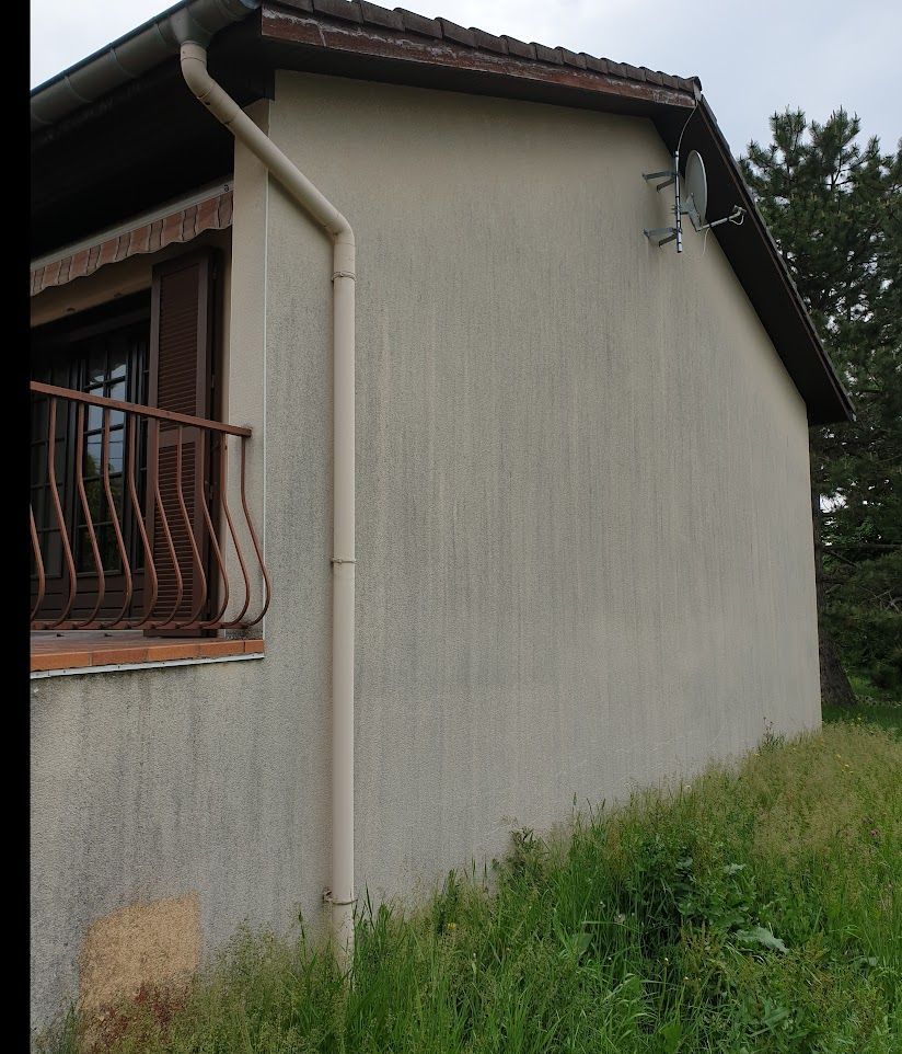 Pignon avant traitement à colombes