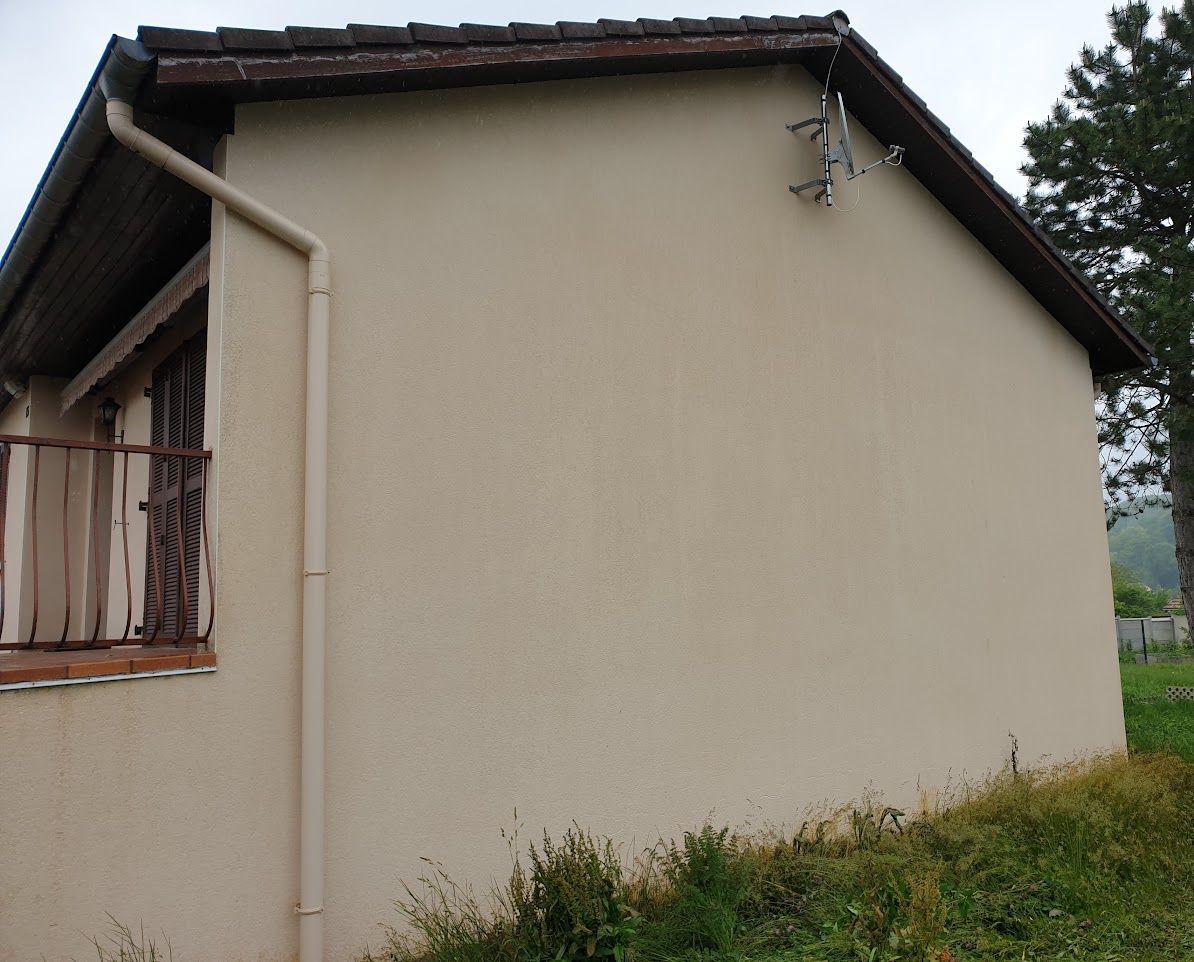 Pignon après traitement à colombes