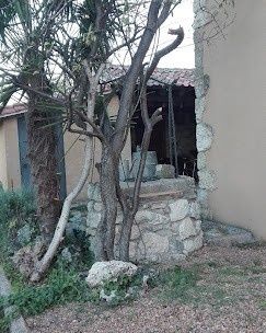 Árbol sin hojas junto a un pozo de piedra y un muro de construcción rústica en un patio.