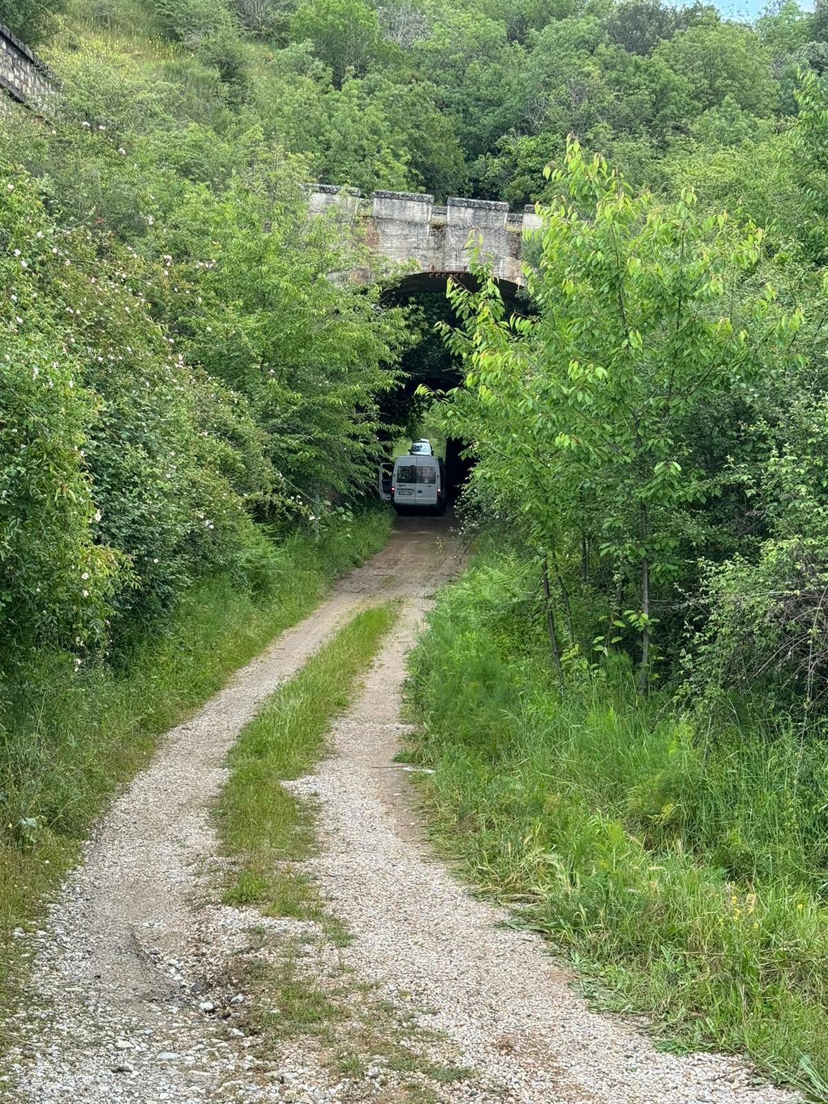 Sendero de grava que atraviesa una densa vegetación y conduce a un pequeño puente de piedra con un vehículo debajo.