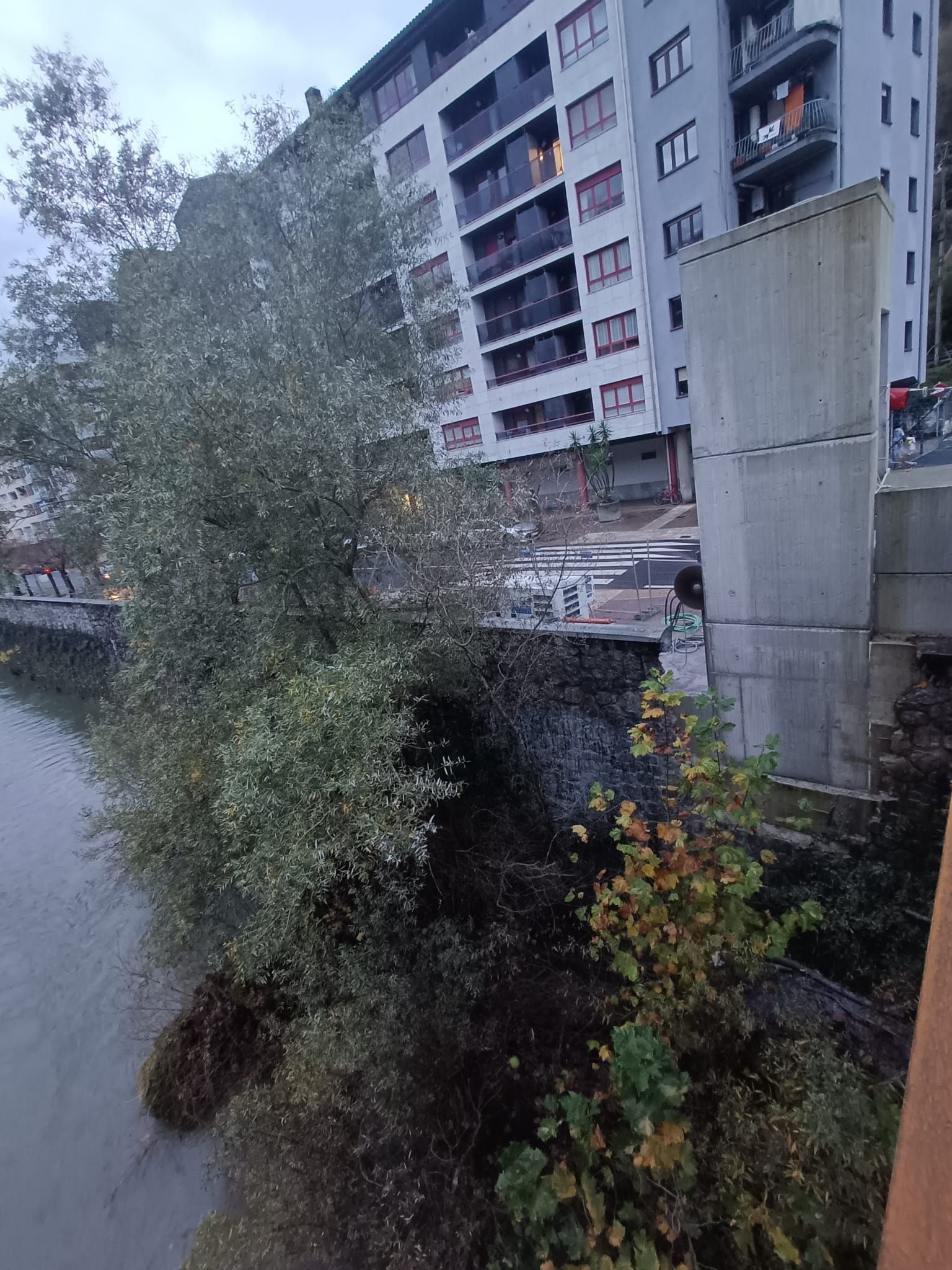 Ribera con densos arbustos verdes junto a edificios de apartamentos y una estructura de hormigón.