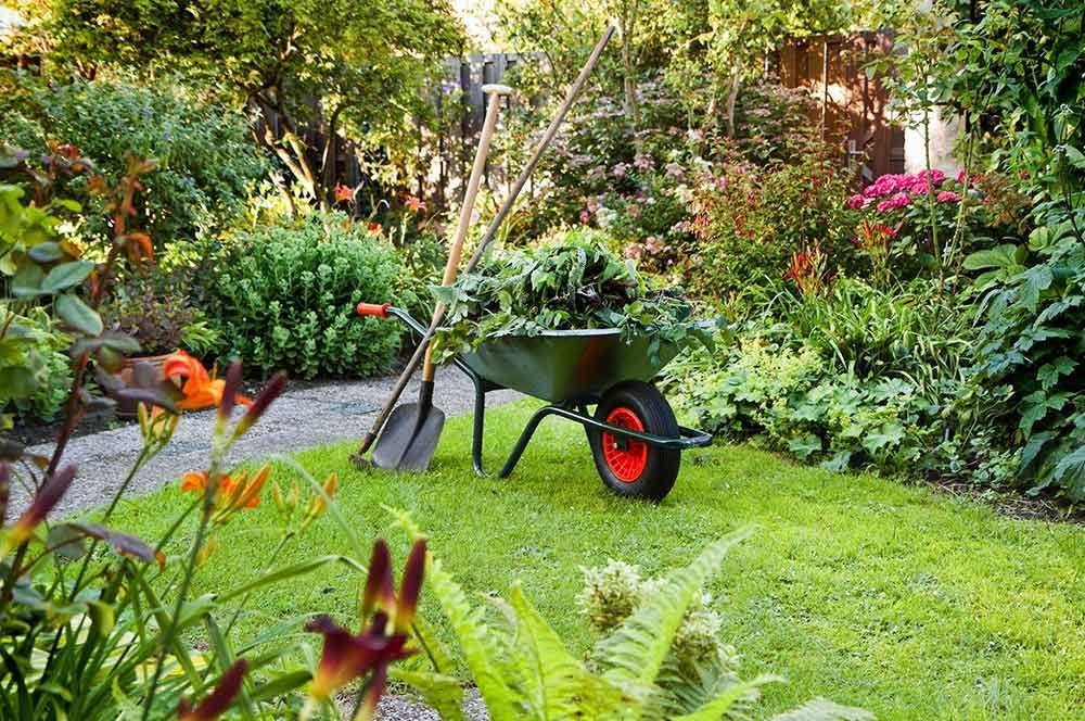 Eine Schubkarre voller Blätter und eine Schaufel in einem Garten.