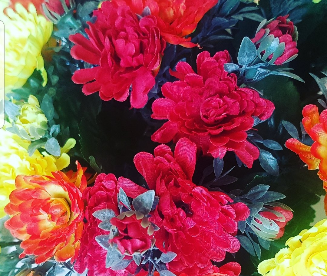Bouquet de fleurs multicolores
