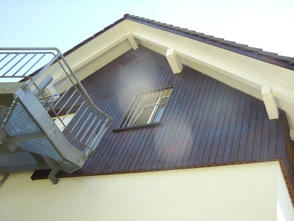 Tapeten - Maler Reto Grassi - Gatt