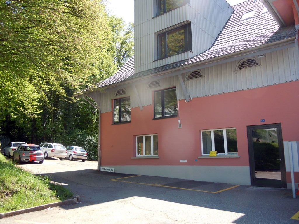 Maler Reto Grassi - Gattikon