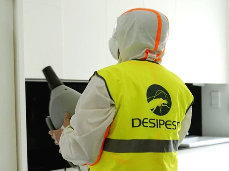 Desipest - Desinfeções e Desinfestações