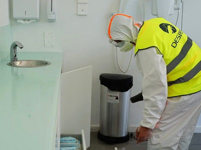 Desipest - Desinfeções e Desinfestações