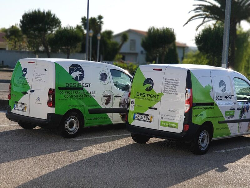 Desipest - Desinfeções e Desinfestações