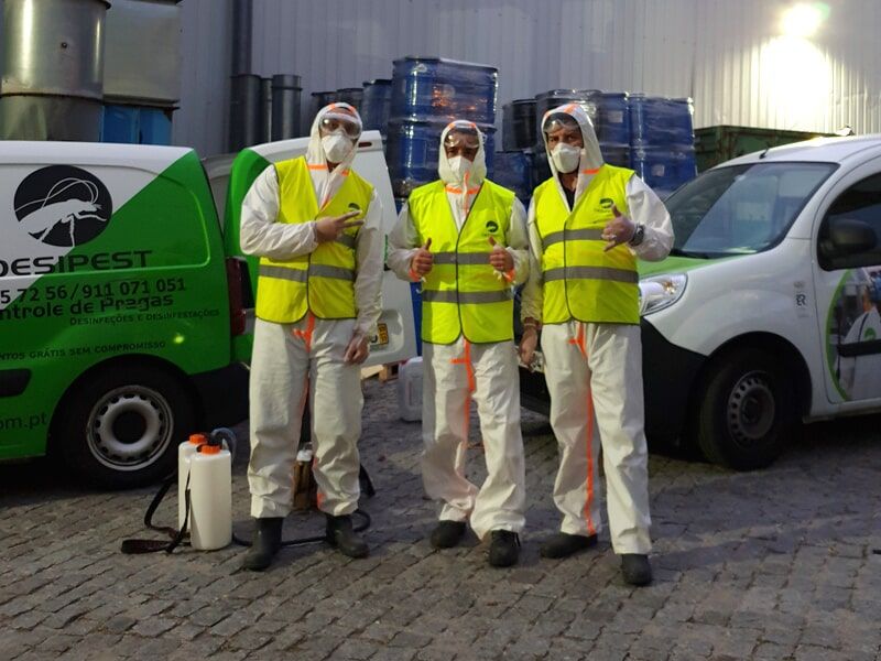 Desipest - Desinfeções e Desinfestações