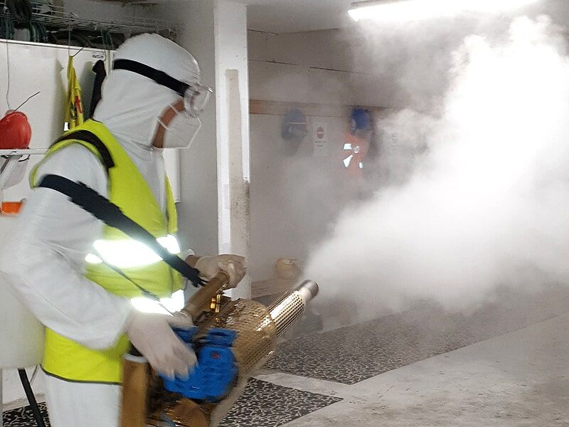 Desipest - Desinfeções e Desinfestações