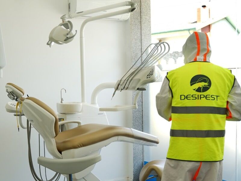 Desipest - Desinfeções e Desinfestações