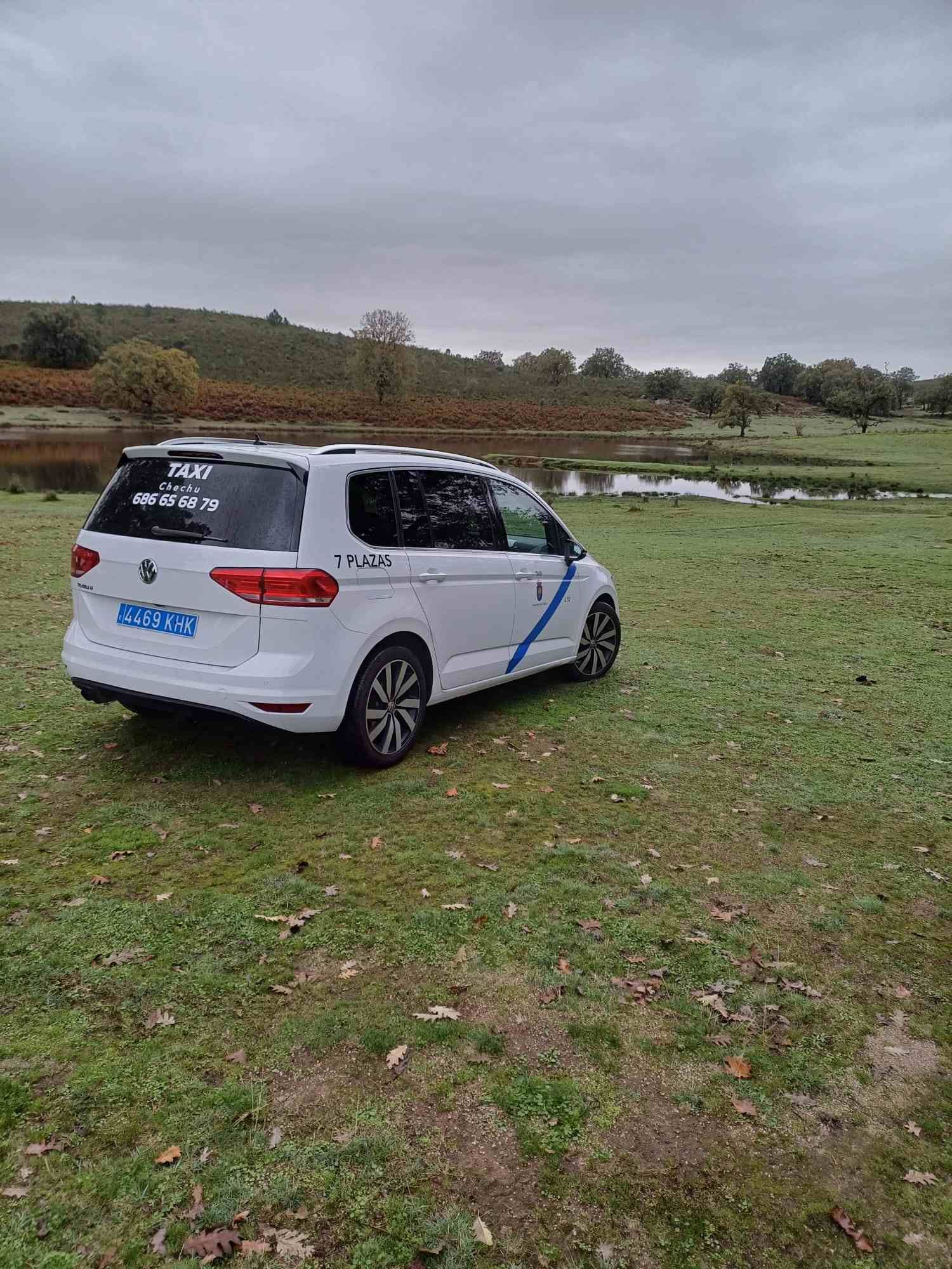 Una camioneta blanca está estacionada en un campo de hierba.