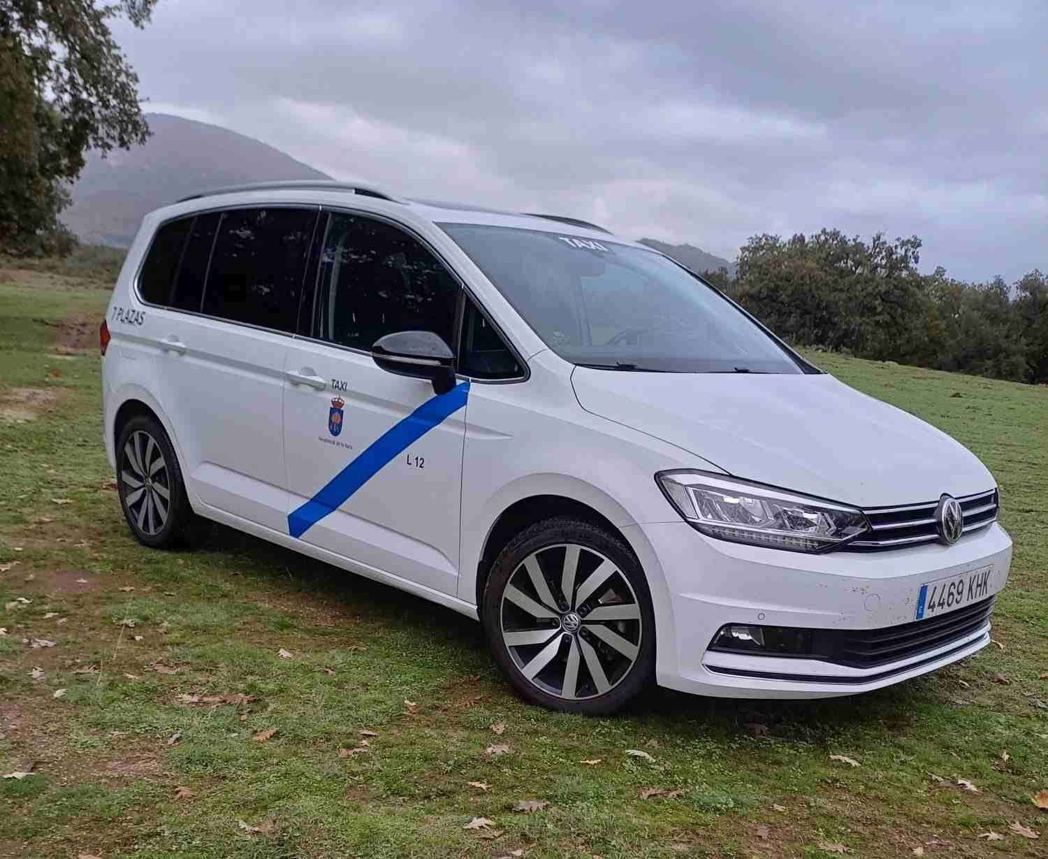 Una furgoneta blanca con una franja azul en la puerta está estacionada en un campo de hierba.