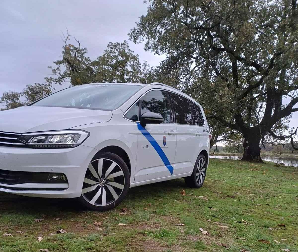 Un coche blanco con una franja azul en el lateral está aparcado en un campo de hierba.