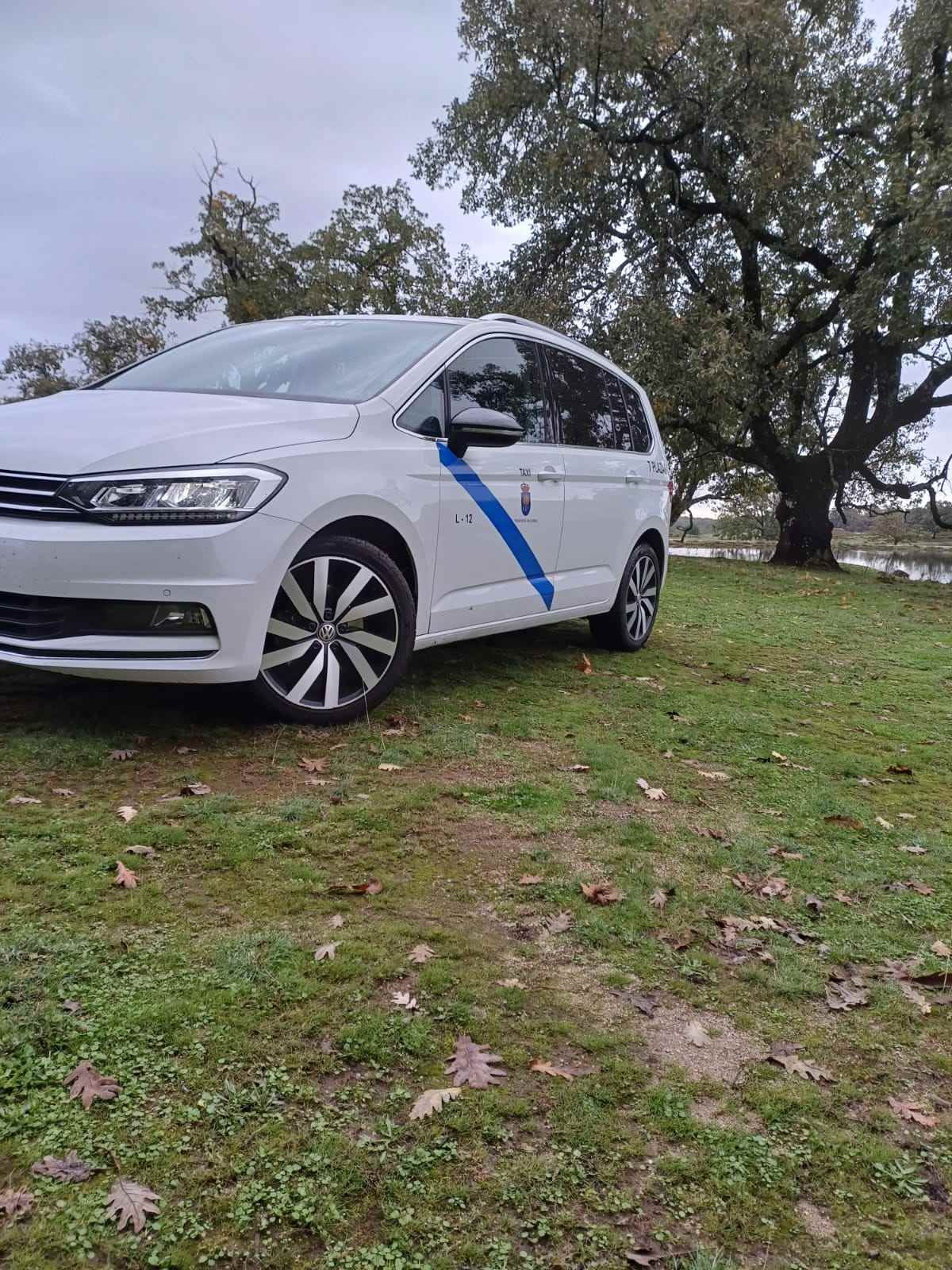 Un coche blanco está aparcado en un campo de hierba al lado de un árbol.