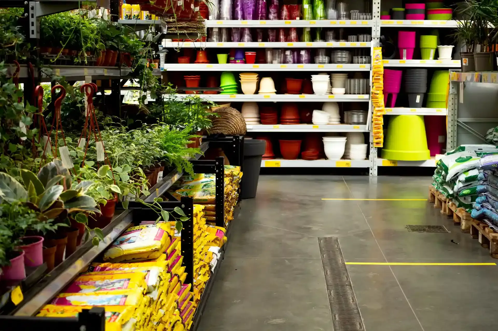 Vista aérea de un río sinuoso que fluye a través de un bosque denso y verde.
