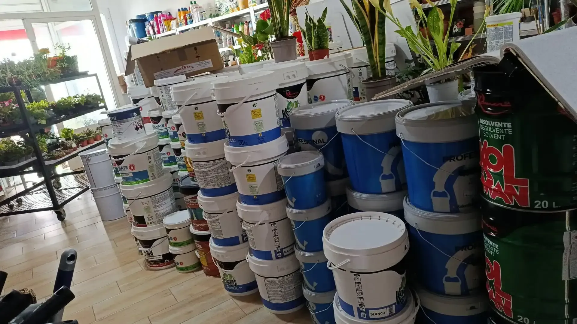 Montones de cubos de pintura en una tienda. Cubos blancos y azules apilados. Estantes con plantas al fondo.