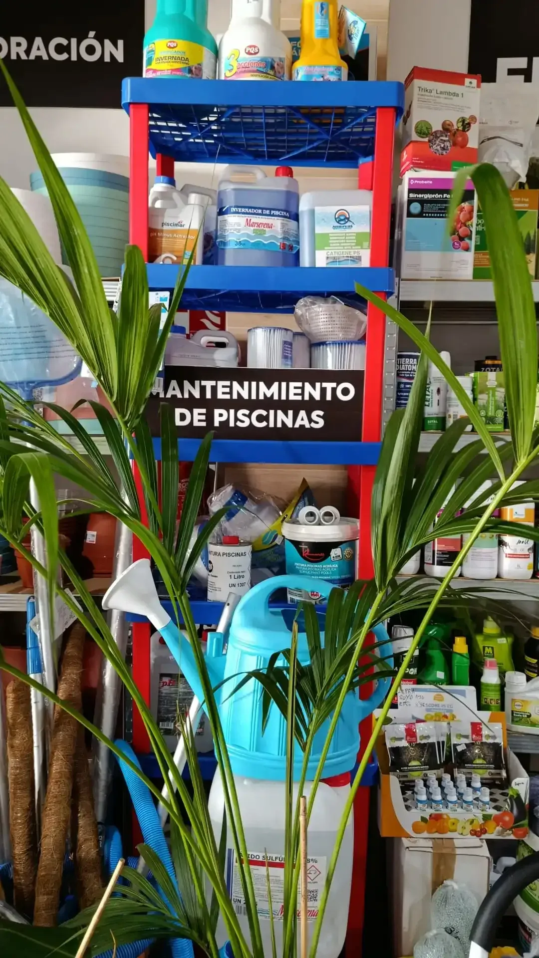 Planta frente a un estante con suministros para el mantenimiento de piscinas. El letrero dice 