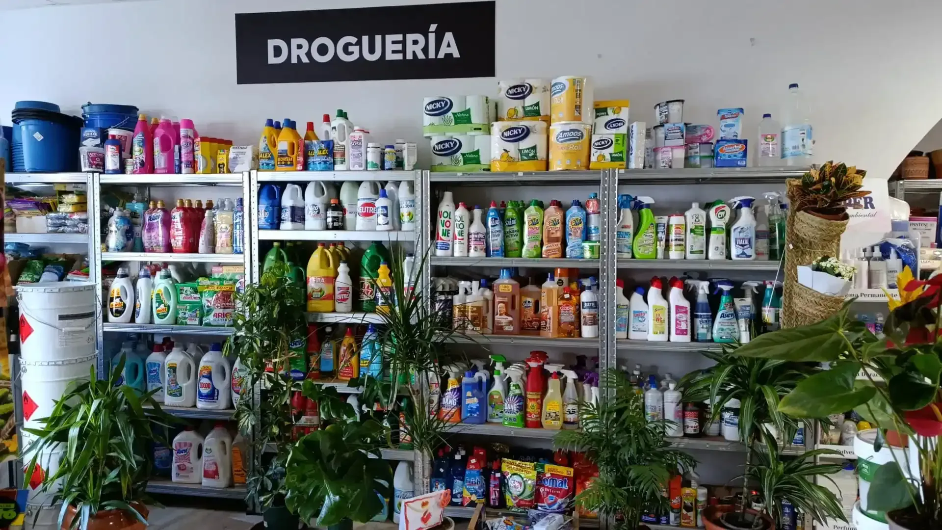 Estantes llenos de productos de limpieza en una tienda de 