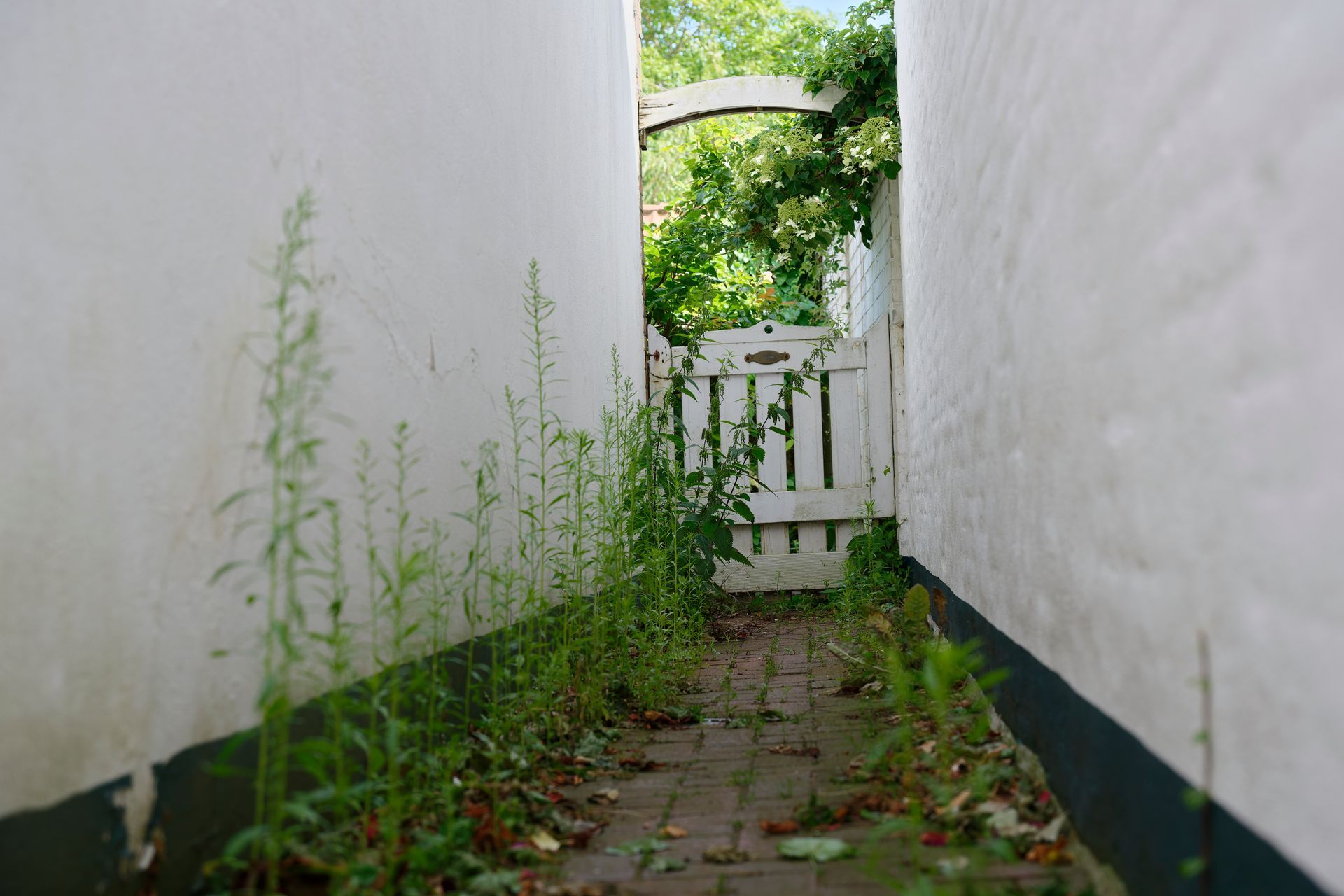 Un étroit chemin de briques, bordé de murs blancs, mène à un portail blanc. Des plantes vertes poussent le long du chemin.