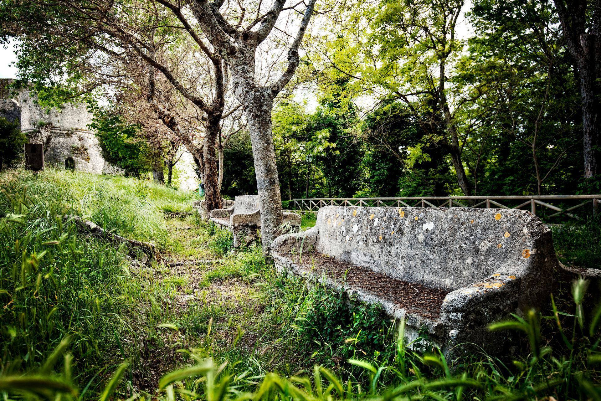 Banc en pierre dans un jardin envahi par la végétation, avec des arbres et un vieux bâtiment au loin.