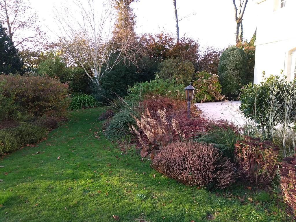 Pelouse verte et parterre de fleurs avec feuillage brun et vert, un bouleau blanc et un lampadaire.