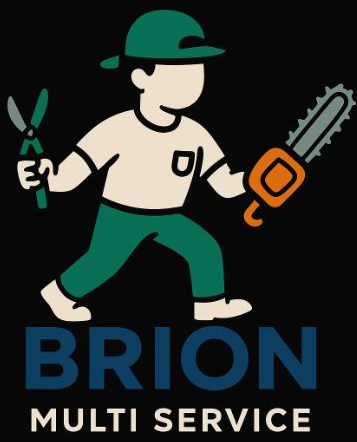 Logo de l'Entreprise Brion