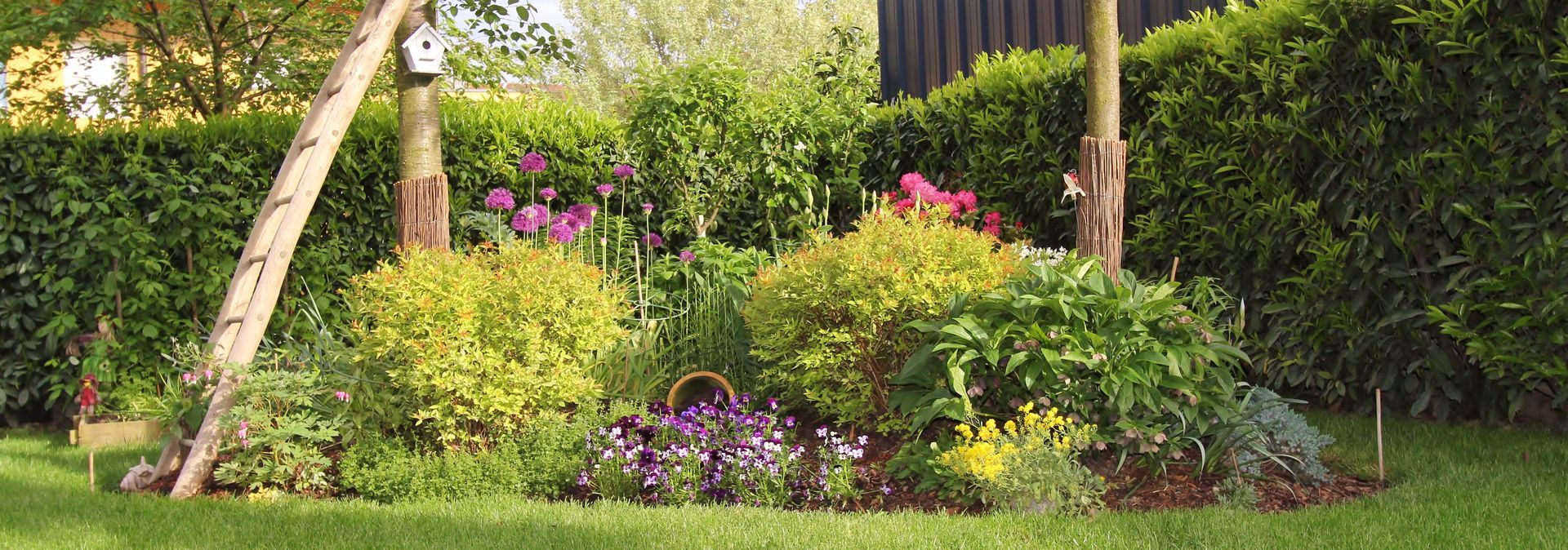 Un parterre luxuriant avec diverses plantes et fleurs, encadré par des arbres et une pelouse verte.