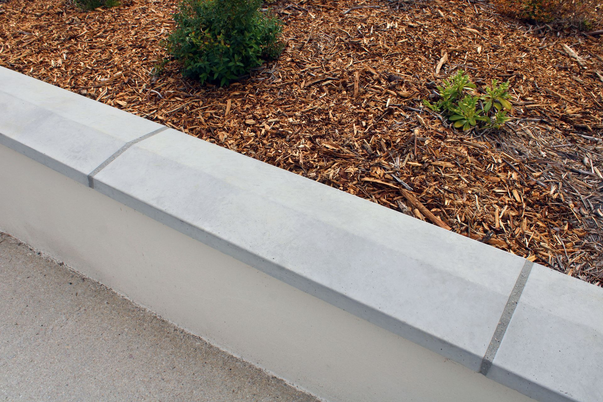 Un muret en béton borde un parterre de jardin rempli de paillis et de plantes vertes.