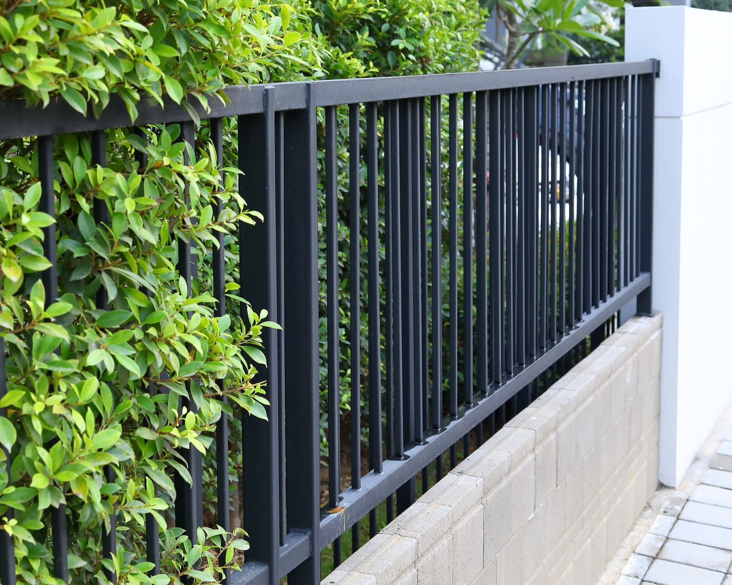 Clôture en métal noir à barres verticales, jouxtant une végétation luxuriante et un mur en béton.