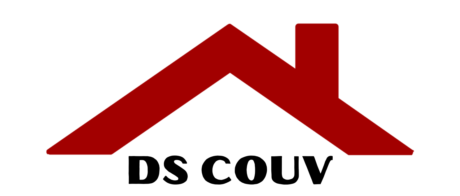 Logo DS Couv