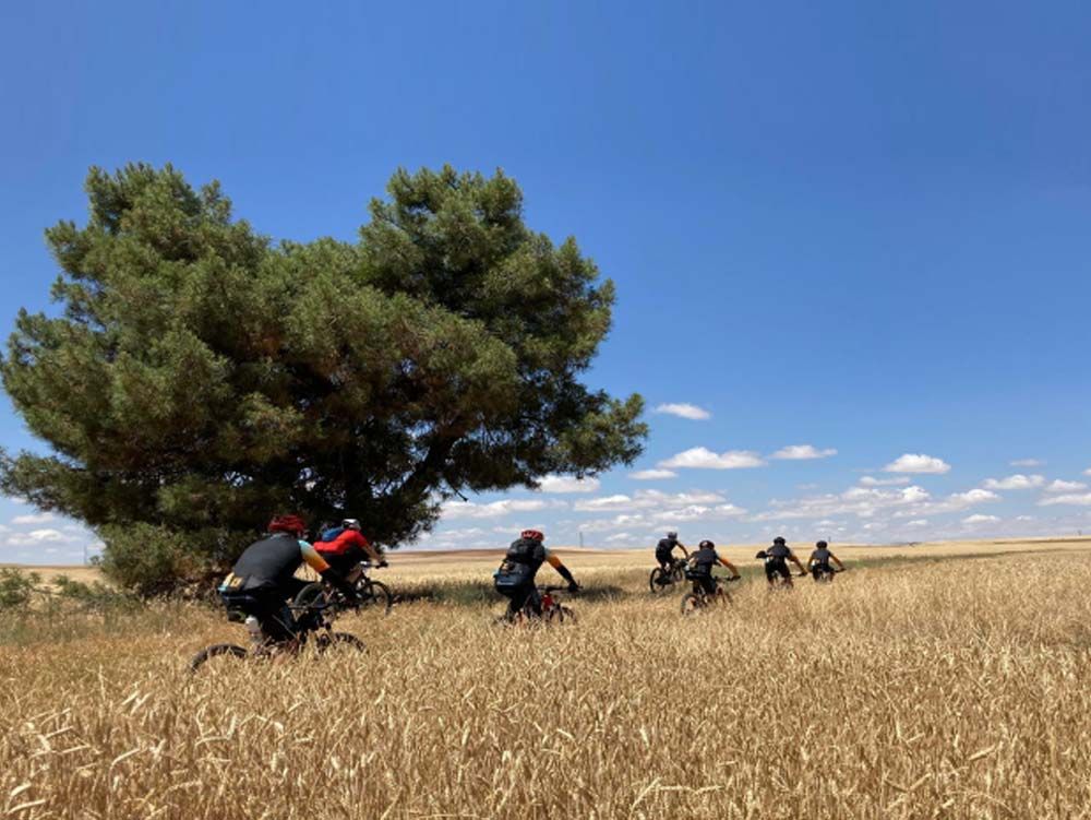 Personas en bicicleta