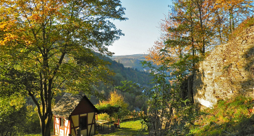 Ein Teich mitten in einem Wald, umgeben von Bäumen in unserem Burggarten