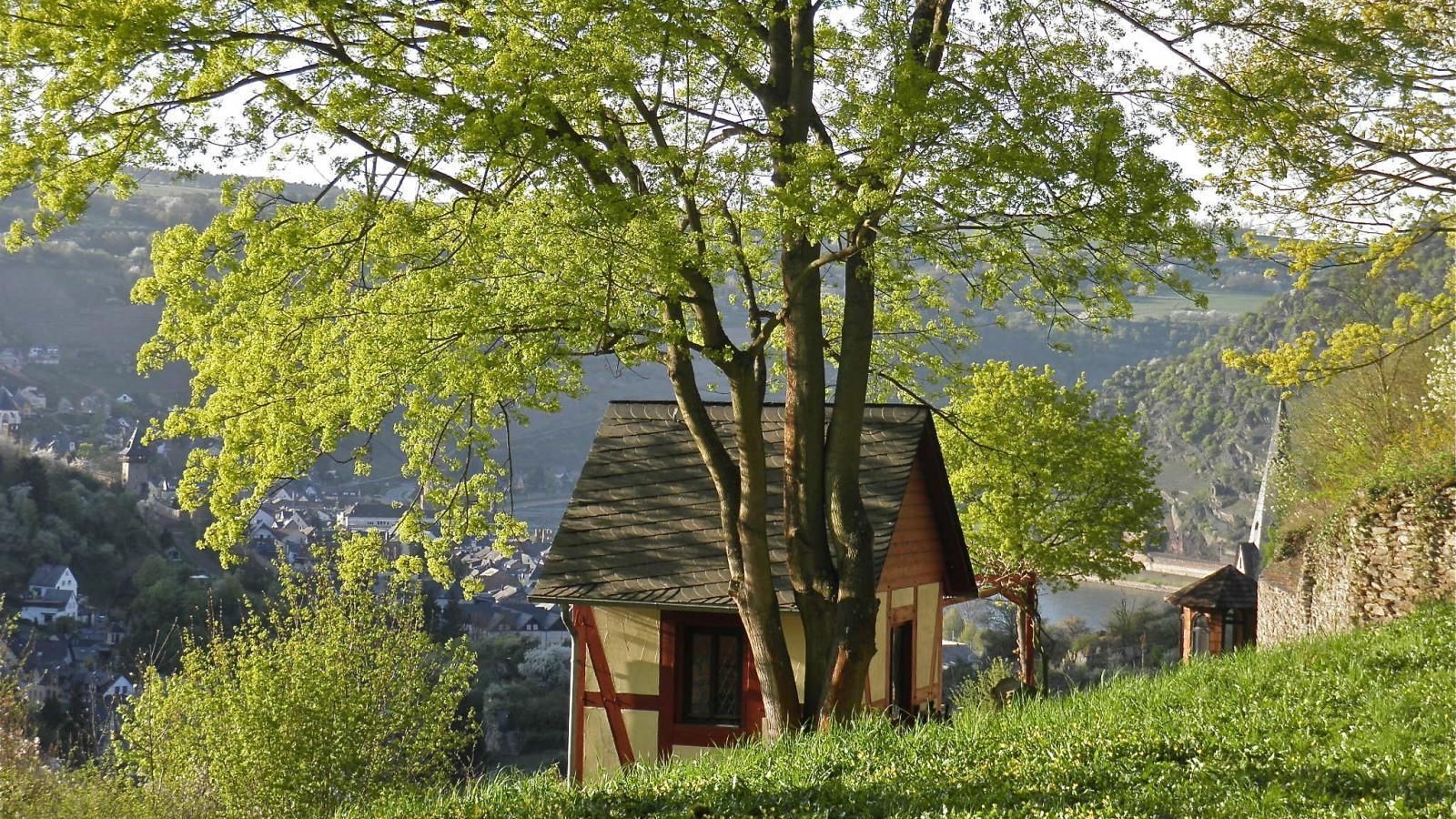 Auf einem Hügel steht unter einem Baum ein kleines Haus.