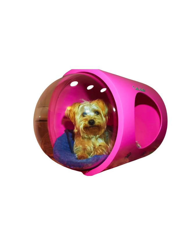 Un perro pequeño yace dentro de un contenedor rosa.