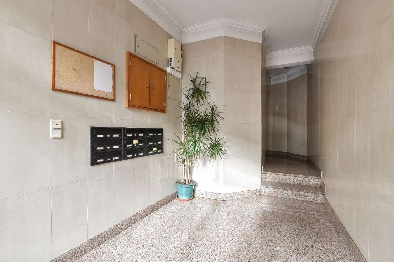 Pasillo del apartamento con buzones, tablones de anuncios, una planta en maceta y suelo de baldosas.