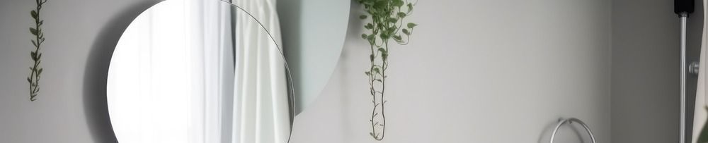 Hay una planta colgada de la pared al lado de un espejo.
