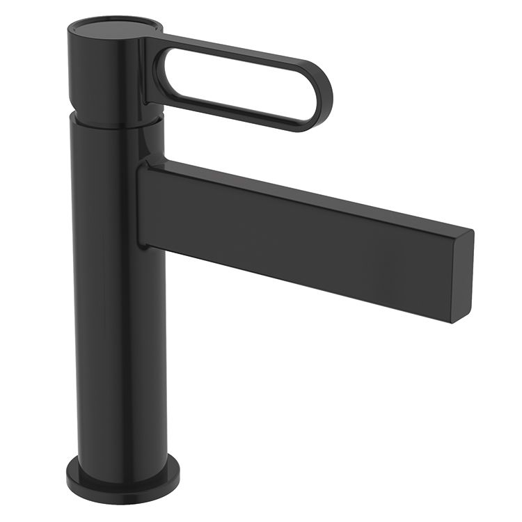 Un grifo de lavabo de baño negro con manija sobre un fondo blanco.