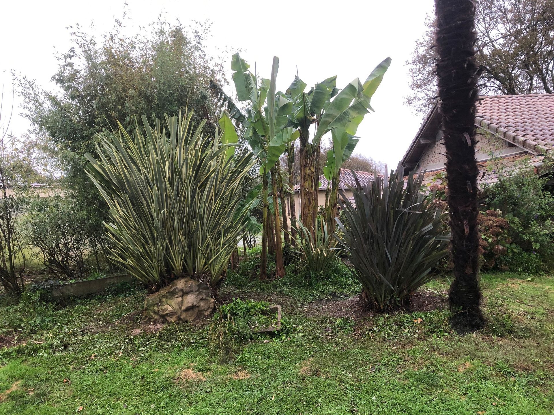 Des massifs nettoyés