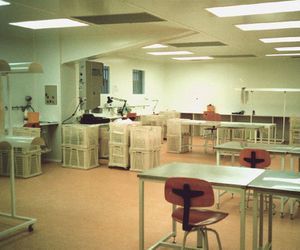 Una fábrica limpia y luminosa, con paredes blancas, pisos de color naranja, mesas, sillas y pilas de cajas.