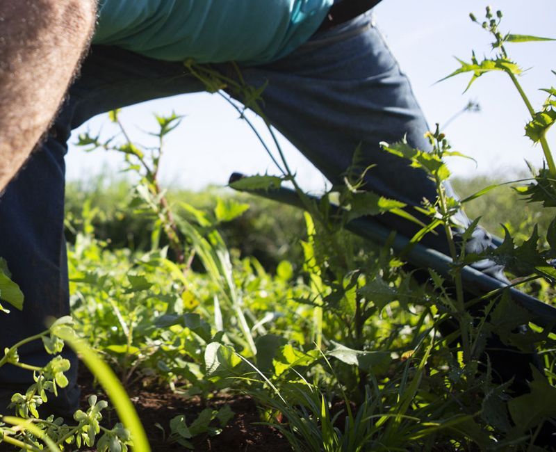 Una persona que viste pantalones vaqueros azules y una camisa verde azulado 