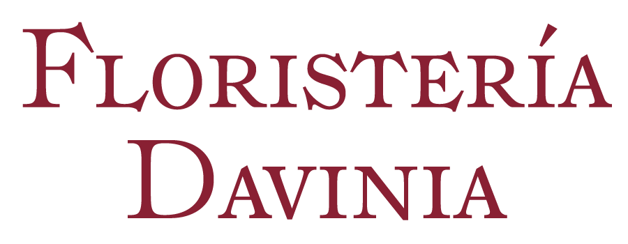 logotipo cabecera