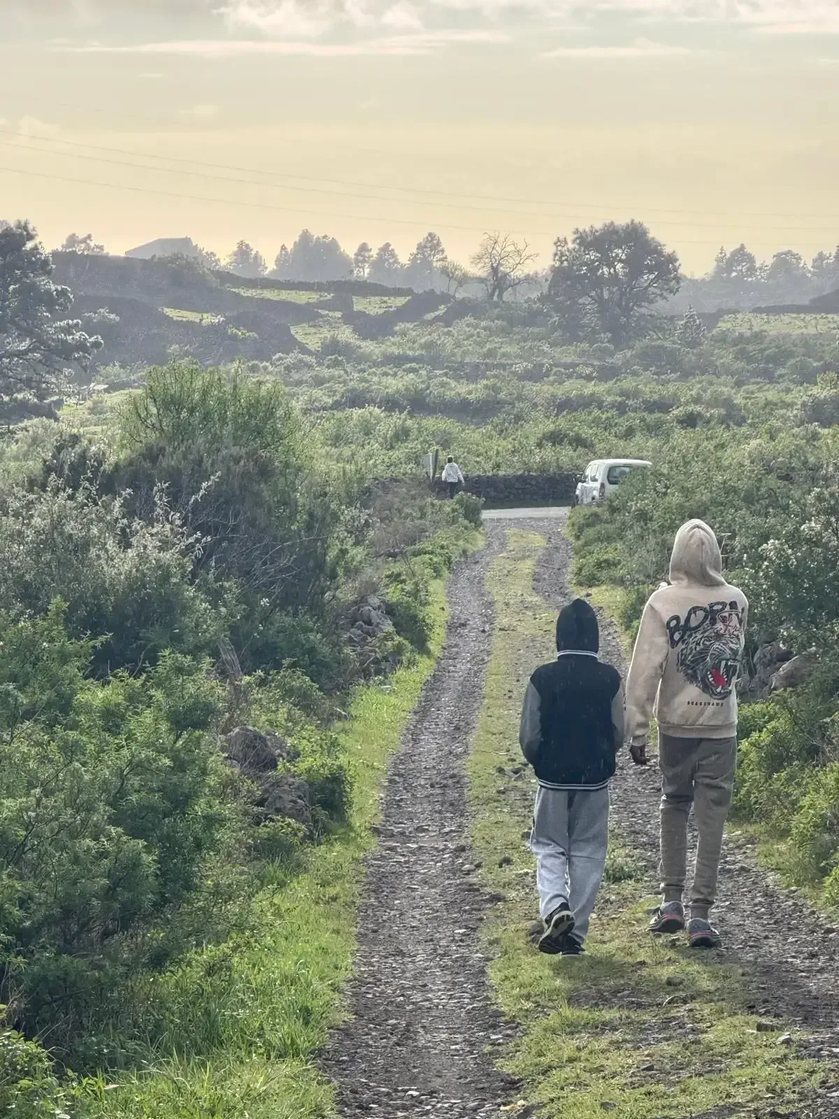 Dos personas caminan por un sendero de grava a través de exuberantes campos verdes al amanecer.