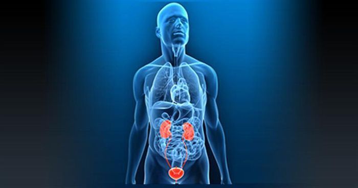 Ζυγουλάκης Νικόλαος - 
Επιστημονικός Υπεύθυνος Ουρολογικού Τμήματος Ιασώ Θεσσαλίας