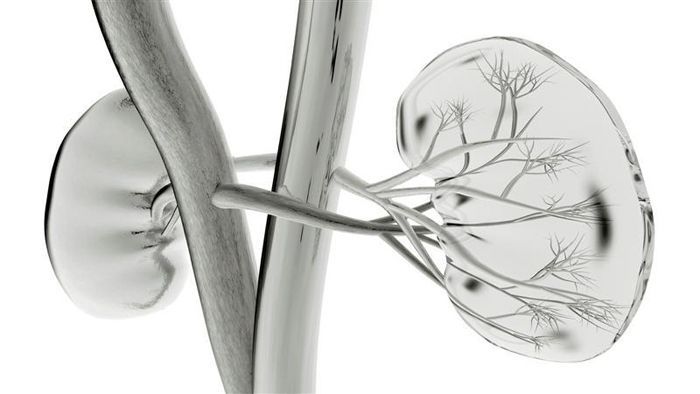 Ζυγουλάκης Νικόλαος - 
Επιστημονικός Υπεύθυνος Ουρολογικού Τμήματος Ιασώ Θεσσαλίας