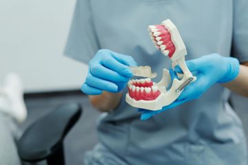 Una persona vestida con bata azul y guantes sostiene un modelo de plástico de dientes