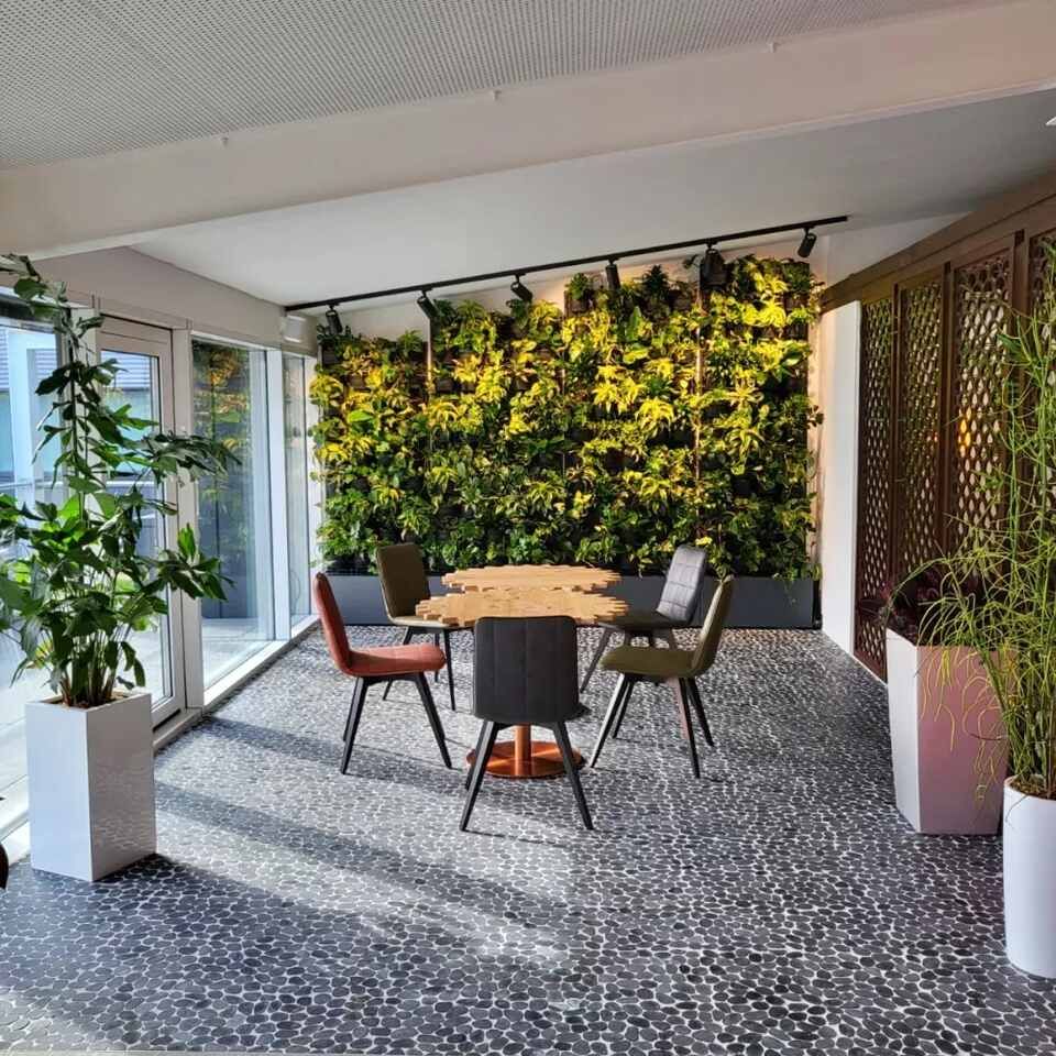 Innenbegrünung von der Blumenhaus & Gartenbau Brühlmann AG